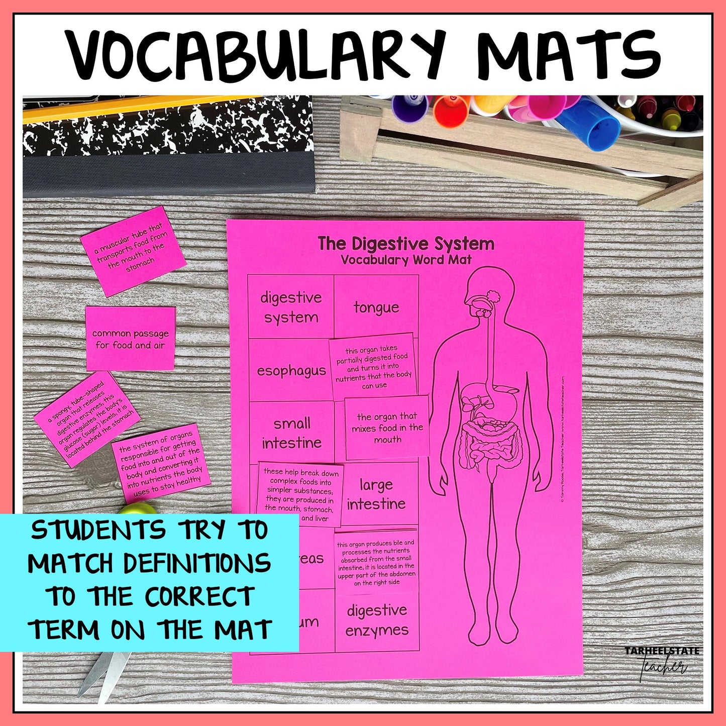 Digestive and Nervous System Vocabulary Mats, Study Slips, and Quizzes with Word Wall Bundle