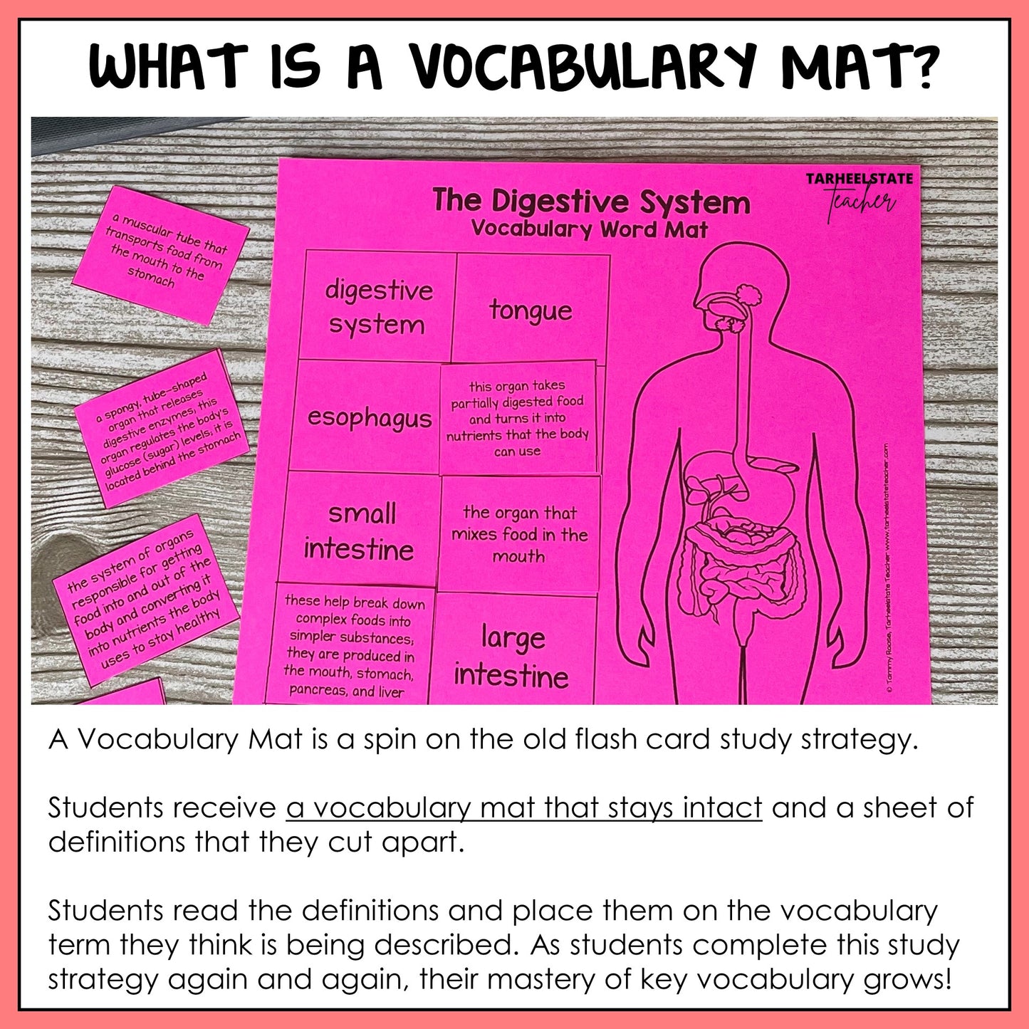 Explanation of vocabulary mats and how they work for student science vocabulary practice