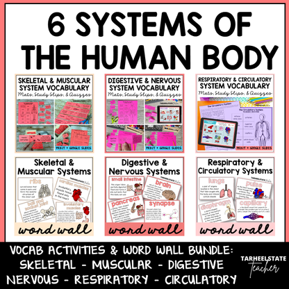 Educational materials for teaching the six systems of the human body with vocabulary activities and word walls.