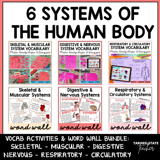 Educational materials for teaching the six systems of the human body with vocabulary activities and word walls.