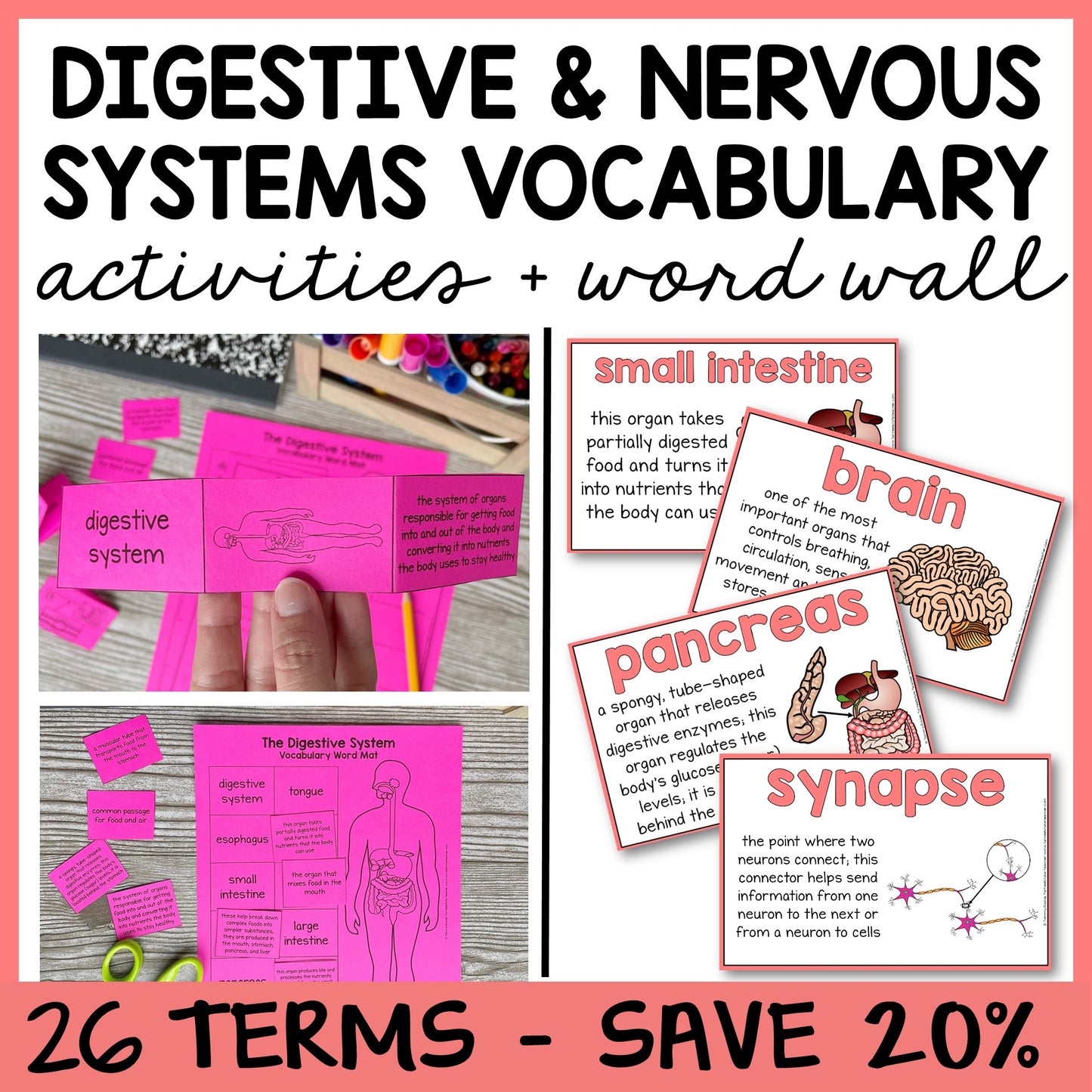 Educational activities for learning digestive and nervous systems vocabulary with word wall cards posters.