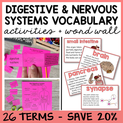 Educational activities for learning digestive and nervous systems vocabulary with word wall cards posters.