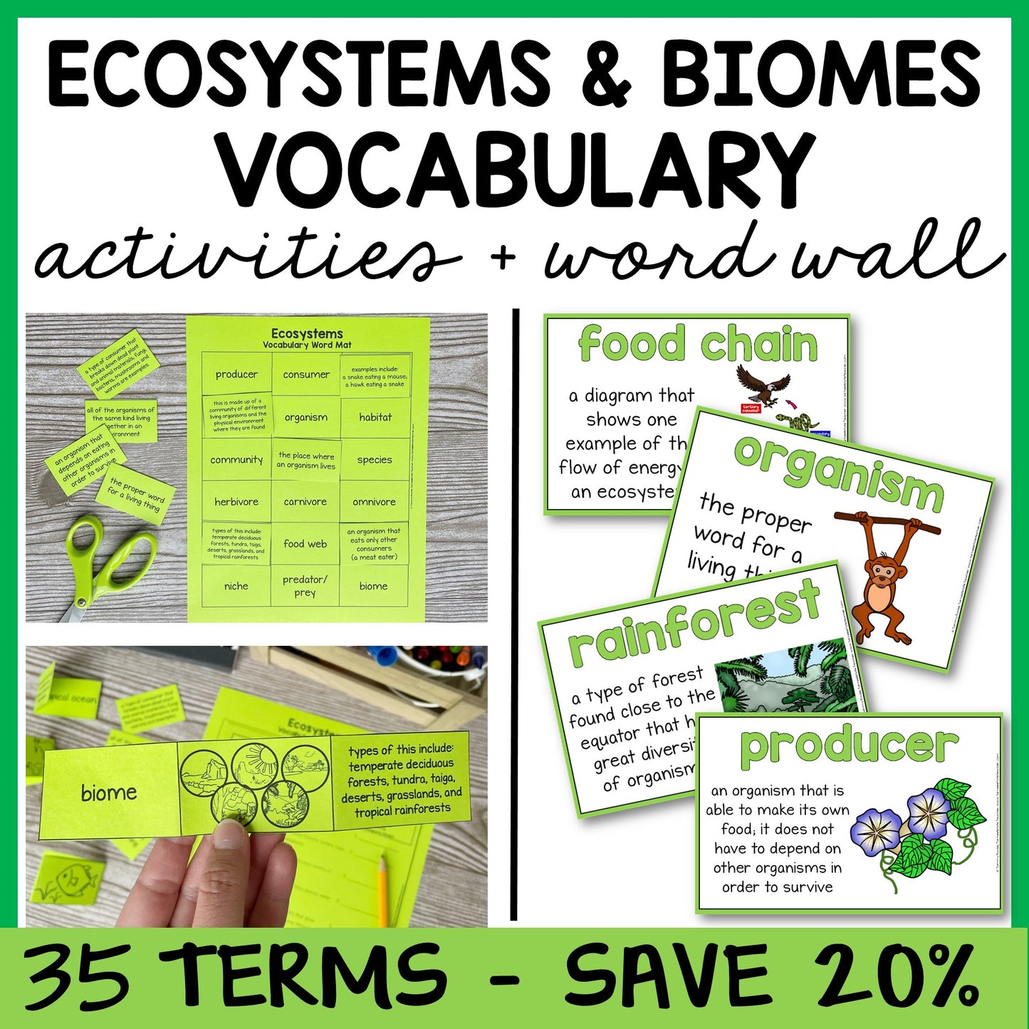 Educational materials activities for ecosystems and biomes vocabulary with word cards, definitions, and science word wall.