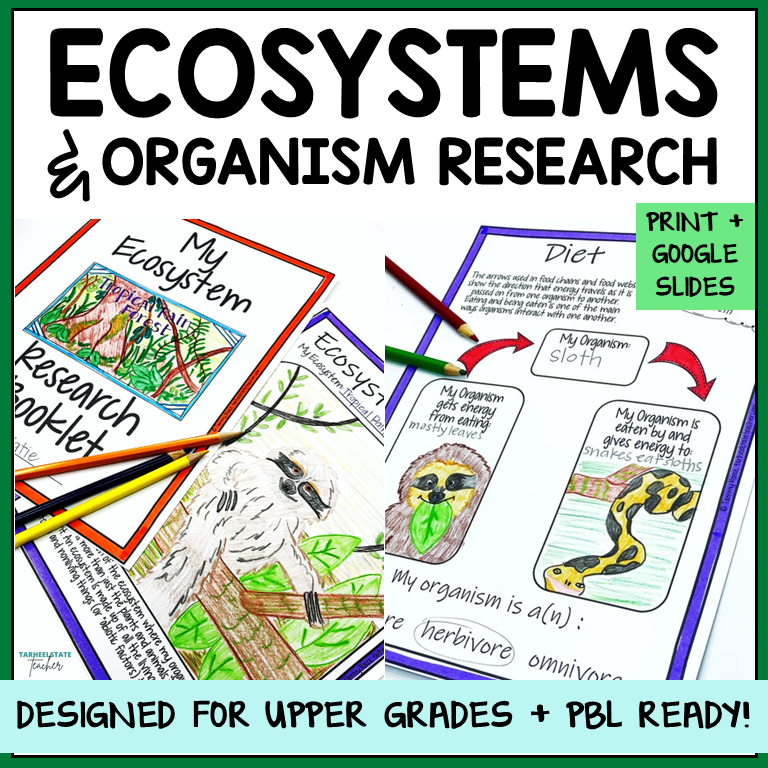 Ecosystem and Biomes Project | Animal Research with Graphic Organizers
