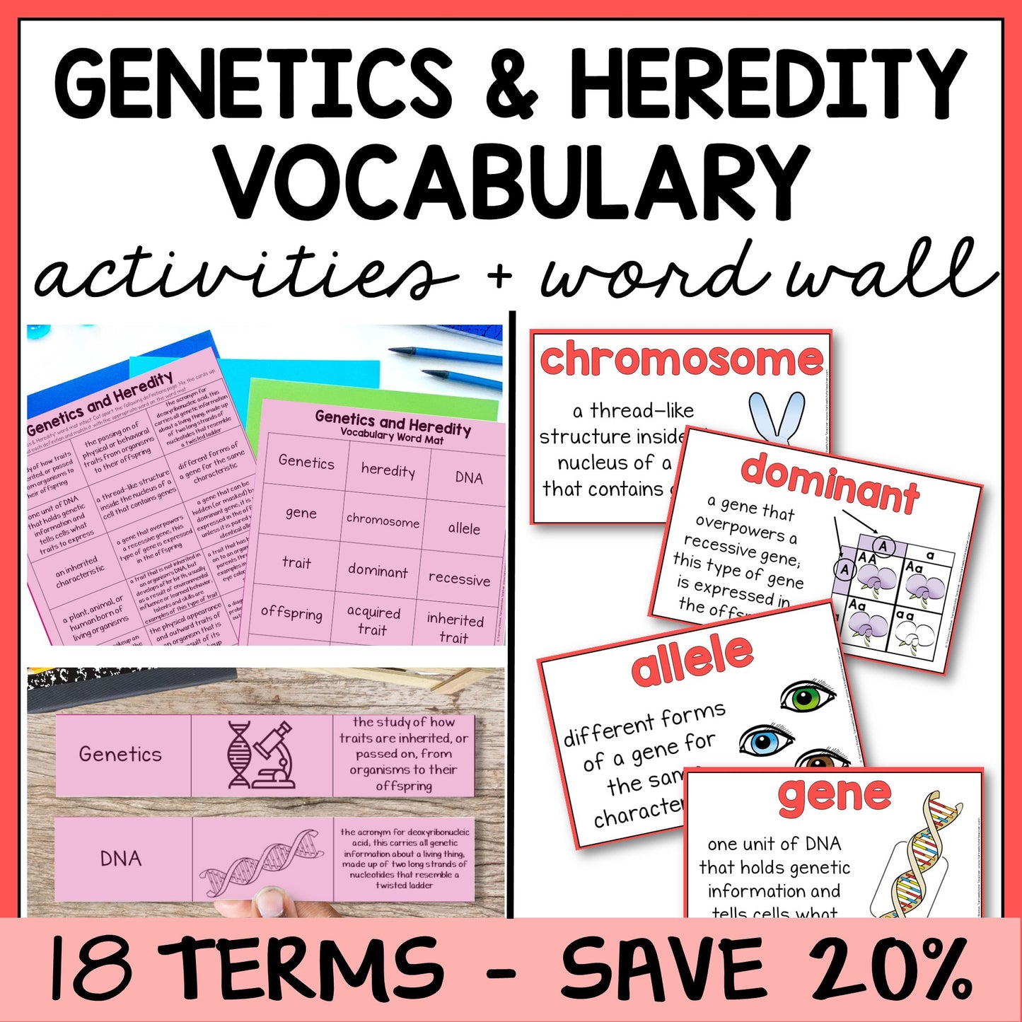 Educational materials for genetics and heredity with vocabulary mats, study slips, and word wall