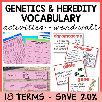 Educational materials for genetics and heredity with vocabulary mats, study slips, and word wall