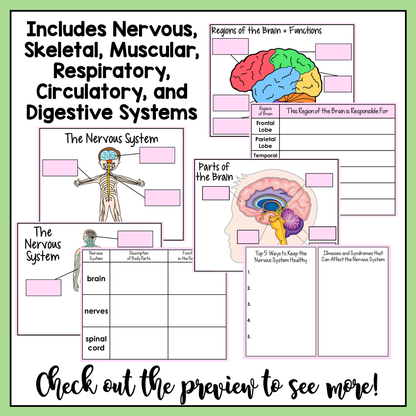 Resource covers the 6 human body systems: nervous, skeletal, muscular, respiratory, circulatory, and digestive systems.