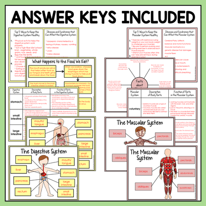 Digital answer keys included for easy checking and grading