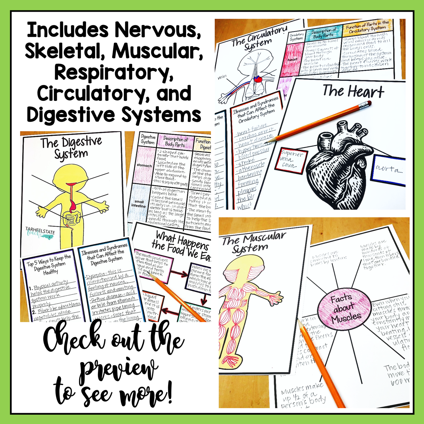 6 human body systems covered in the student research project resource - nervous skeletal, respiratory, circulatory, and digestive systems