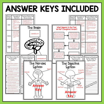 Human body student research project includes answer keys for easy checking and grading