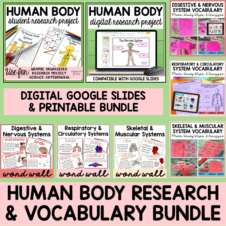 Human body research and vocabulary bundle with digital and printable resources.