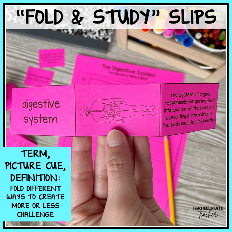 'Fold & Study' slips for human body systems with word, definition, and picture to help children learn words and vocabulary of the human body - this one describes the digestive system. 