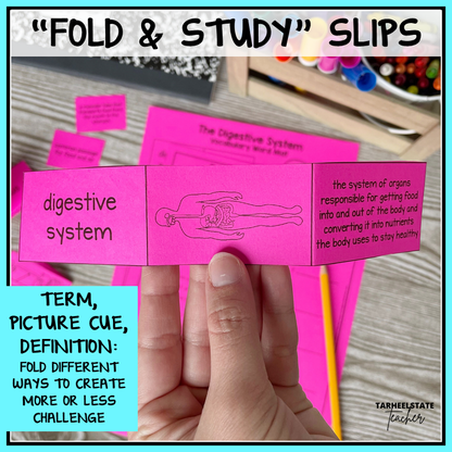 'Fold & Study' slips for human body systems with word, definition, and picture to help children learn words and vocabulary of the human body - this one describes the digestive system. 