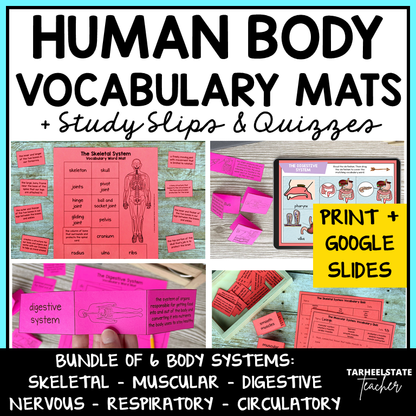 Human body systems vocabulary activities and quizzes for skeletal, muscular, digestive, nervous, respiratory, and circulatory systems