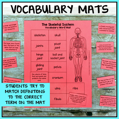 Vocabulary mat for the skeletal system with definitions and terms