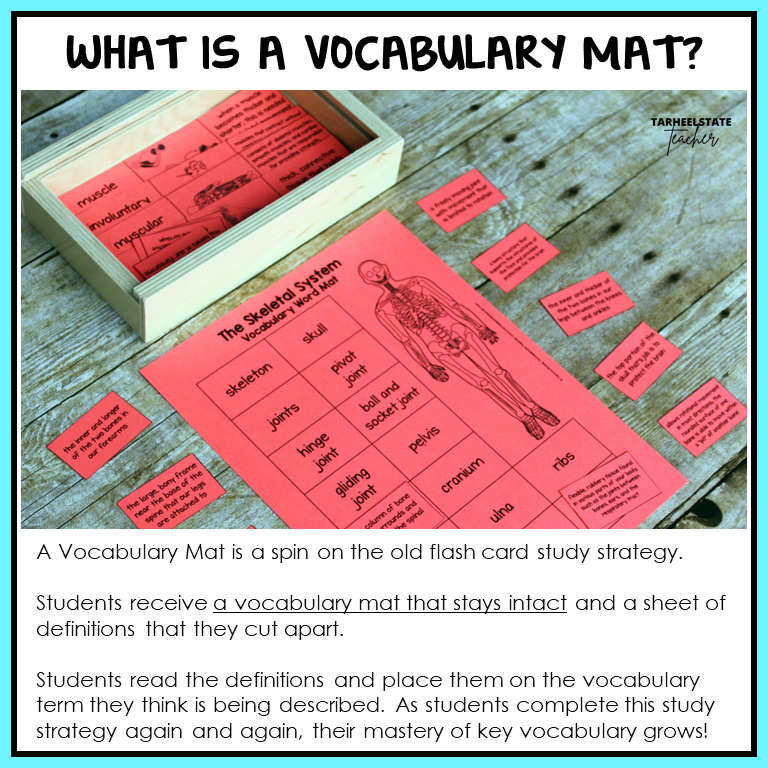 Vocabulary mat with flash cards with definitions for the skeletal system; human body systems activity for kids to learn body vocabulary