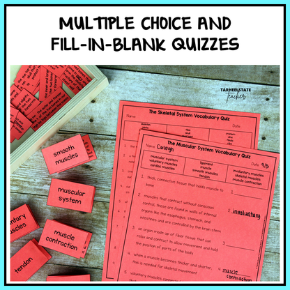 multiple choice quiz for human body system showing muscular system and skeletal system
