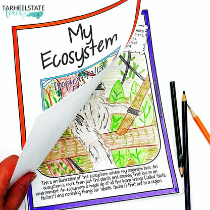 Ecosystem and Biomes Project | Animal Research with Graphic Organizers