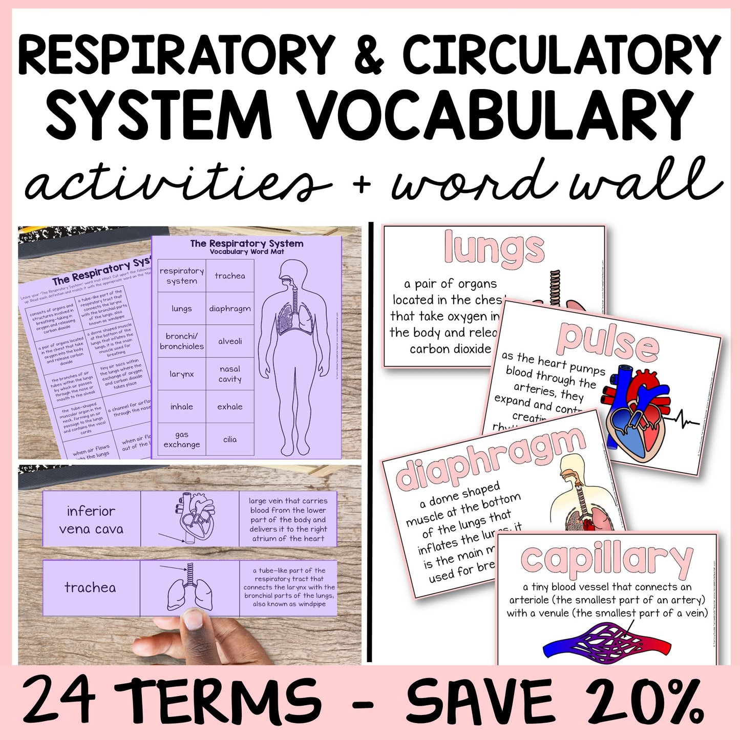 Educational materials on respiratory and circulatory systems with vocabulary mats, study slips, and quizzes.