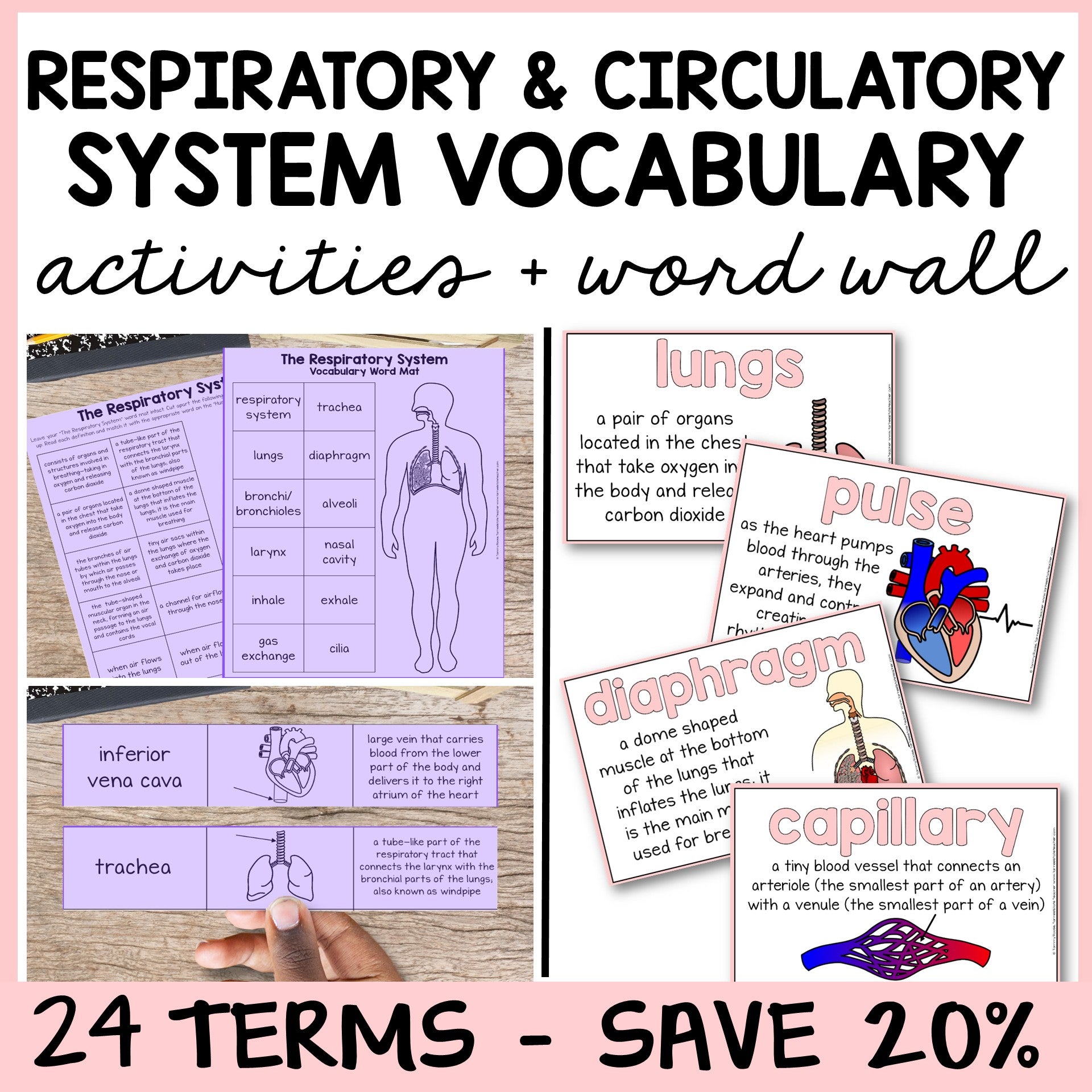 Educational materials on respiratory and circulatory systems with vocabulary mats, study slips, and quizzes.