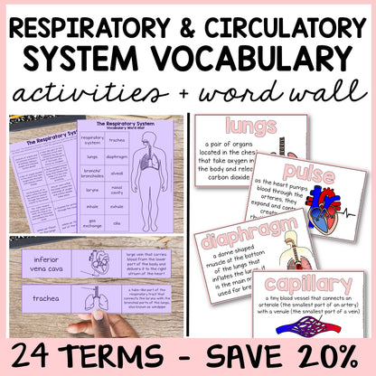 Educational materials on respiratory and circulatory systems with vocabulary mats, study slips, and quizzes.