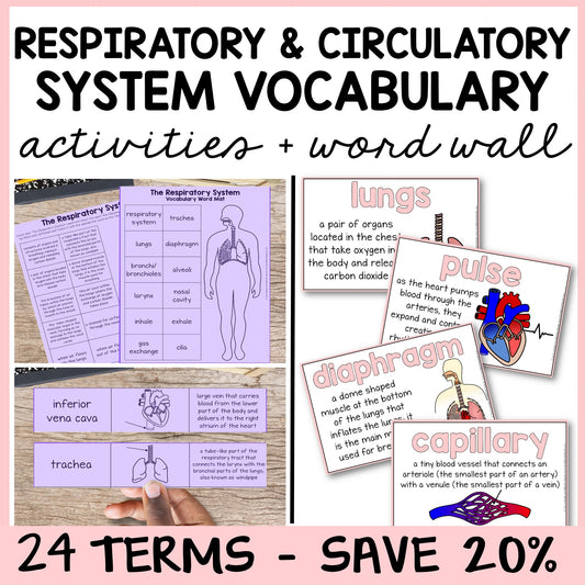 Educational materials on respiratory and circulatory systems with vocabulary mats, study slips, and quizzes.