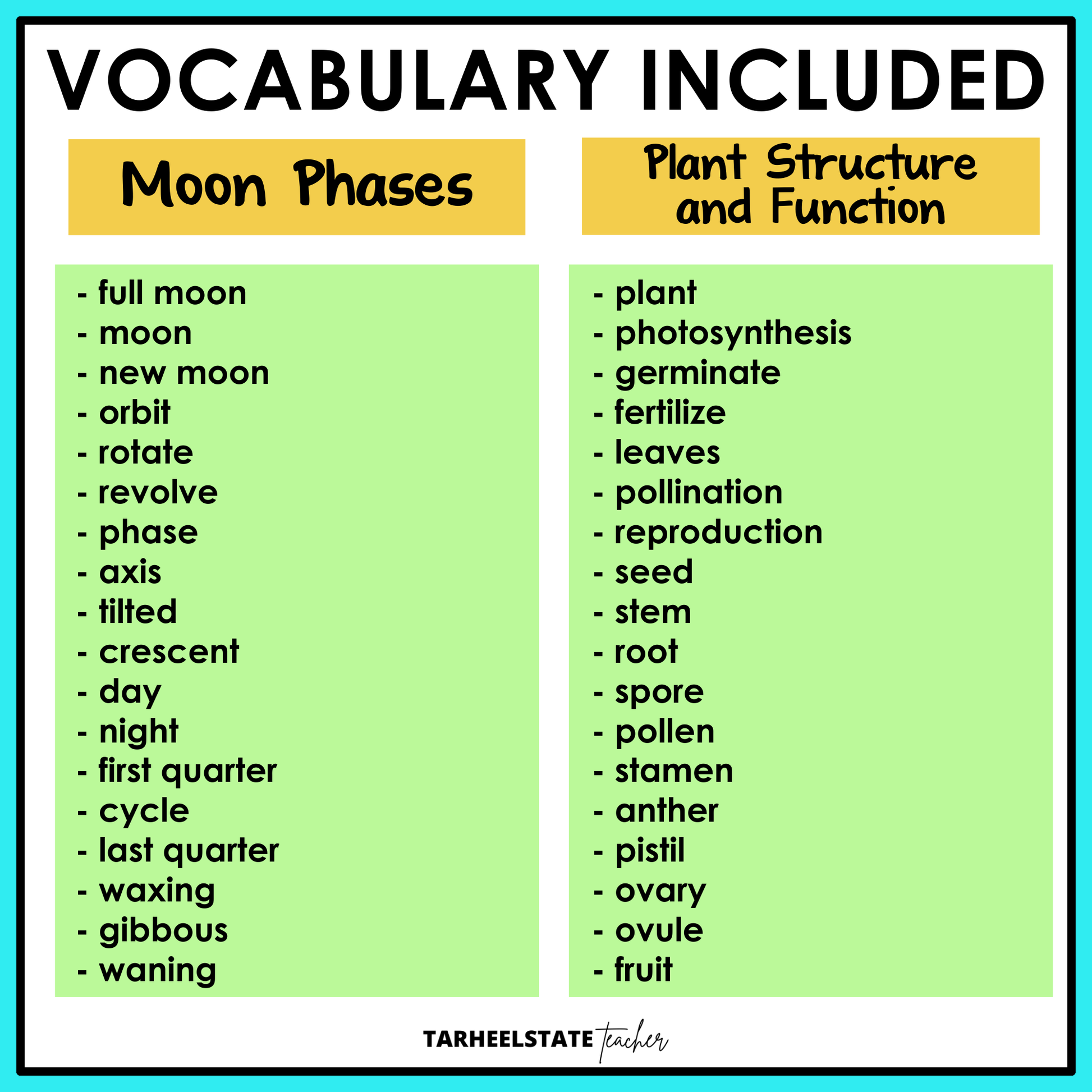 Vocabulary list for moon phases and plant structure