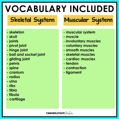 Vocabulary list for the Skeletal and Muscular Systems