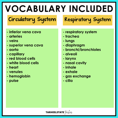 Vocabulary list for circulatory and respiratory systems 