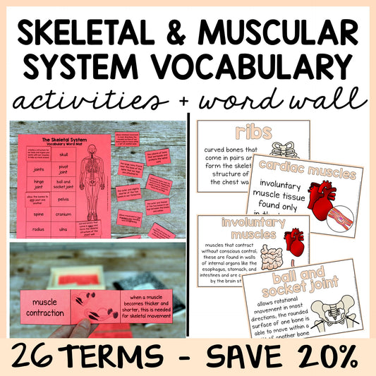 Educational materials for the skeletal and muscular systems with vocabulary activities and word wall.