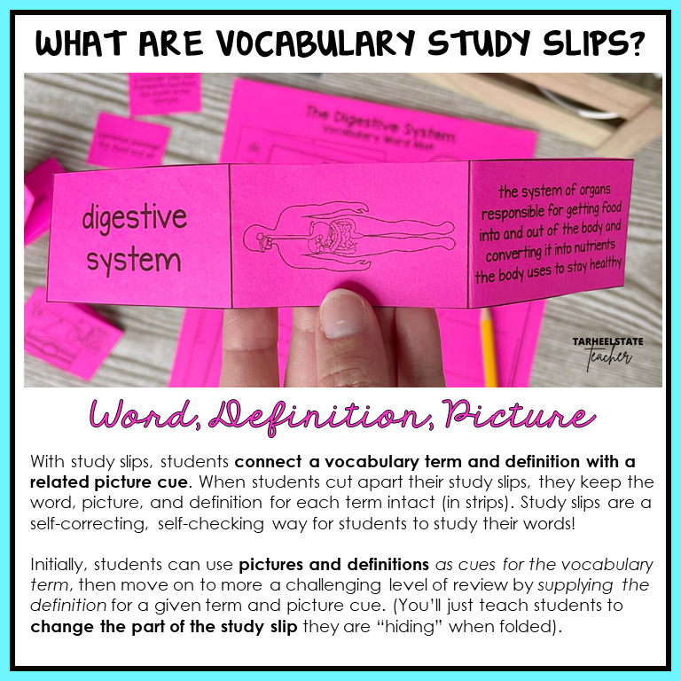 'Fold & Study' slips for human body systems with word, definition, and picture to help children learn words and vocabulary of the human body - this one describes the digestive system. 