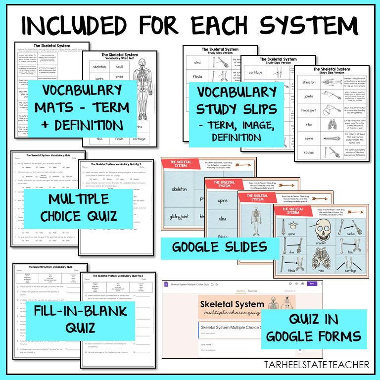 Educational materials for teaching the Skeletal System, including vocabulary mats, study slips, quizzes, and Google Slides.